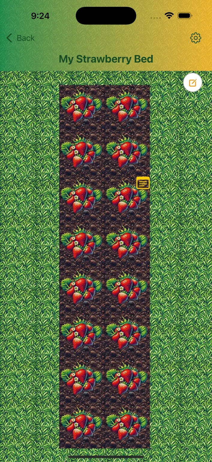 Garden bed planning and notes view in GardenBuddy